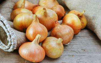 Onions (Swiss, Vaud)