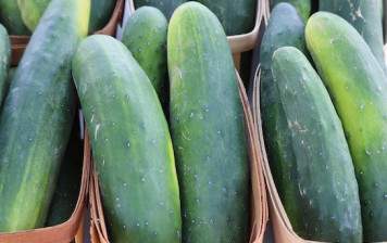 Organic nostrani cucumbers