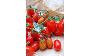 Tomates Datterino