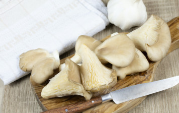 Oyster mushroom - GRTA