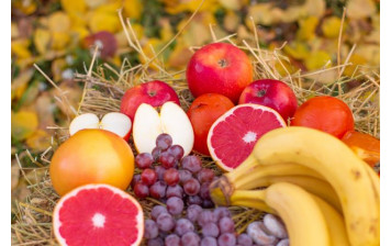 Fruits BIO (6p.)