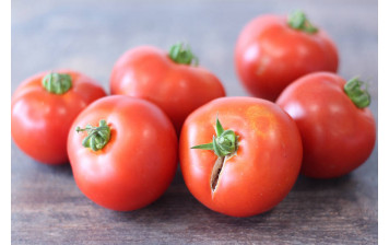 Tomates ronde Bio