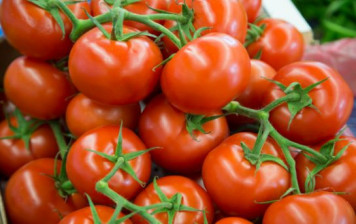 Tomates Grappes BIO