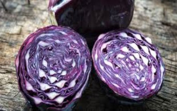 Red cabbage (Swiss)